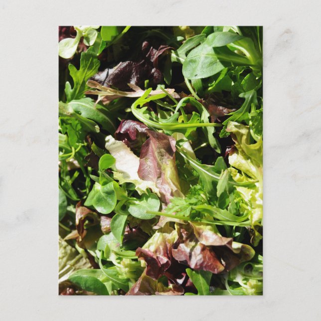 Postal Lettuce (Anverso)