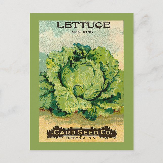 Postal Lettuce Seed Pack (Anverso)