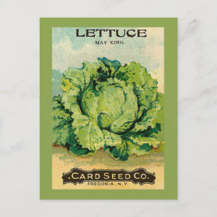 Postal Lettuce Seed Pack