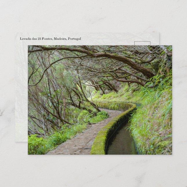 Postal Levada das 25 Fontes Madeira Postcard (Anverso / Reverso)