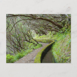 Postal Levada das 25 Fontes Madeira Postcard