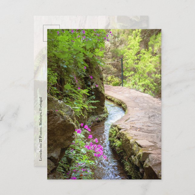 Postal Levada das 25 Fontes Madeira Postcard (Anverso / Reverso)
