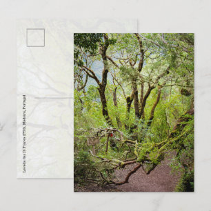 Postal Levada das 25 Fontes Viajes y naturaleza