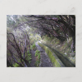 Postal Levadas en Madeira, Portugal