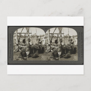 Postal Levantando agua del Nilo en Egipto alrededor de 19