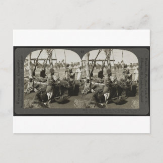 Postal Levantando agua del Nilo en Egipto alrededor de 19