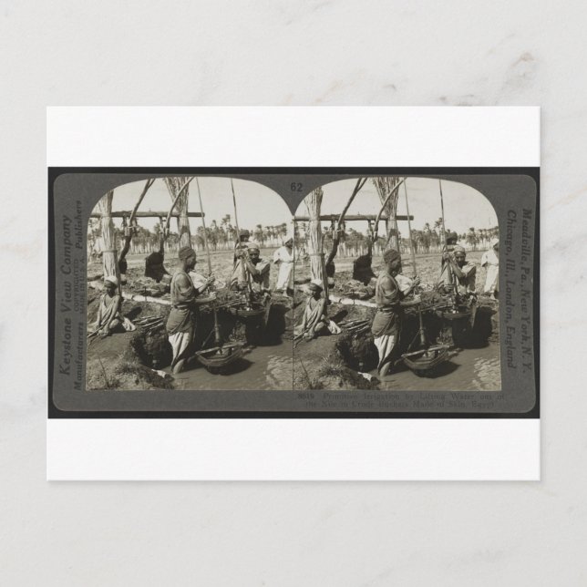 Postal Levantando agua del Nilo en Egipto alrededor de 19 (Anverso)