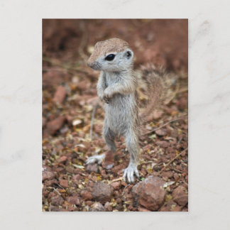 Postal ¡Levántate y sé Personalizar!