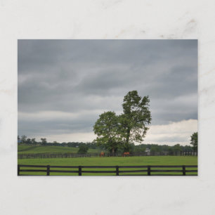 Postal Lexington, Kentucky