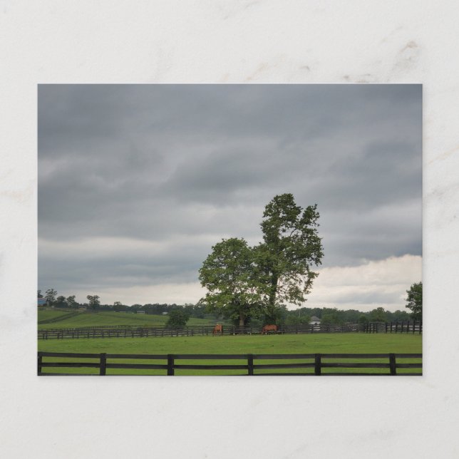 Postal Lexington, Kentucky (Anverso)