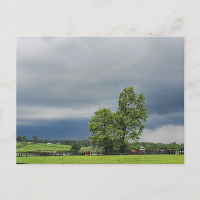 Postal Lexington, Kentucky (Anverso)