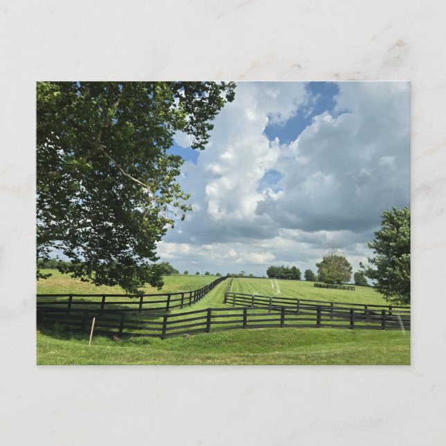 Postal Lexington, Kentucky (Anverso)