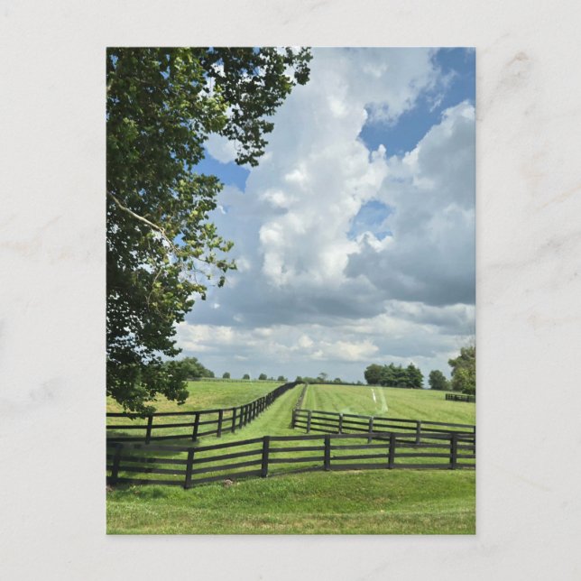 Postal Lexington, Kentucky (Anverso)