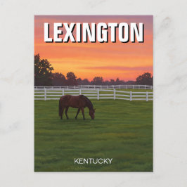 Postal Lexington Kentucky Postcard Horse Sunset