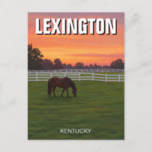 Postal Lexington Kentucky Postcard Horse Sunset
