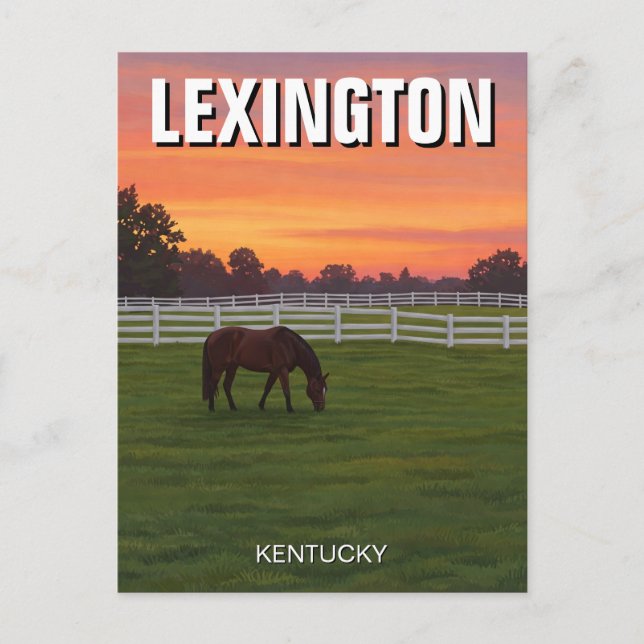 Postal Lexington Kentucky Postcard Horse Sunset (Anverso)