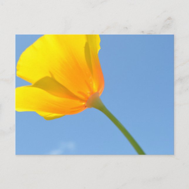 Postal Ley de atracción (Anverso)