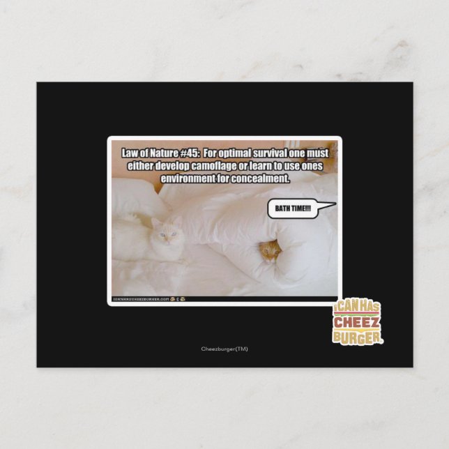 Postal Ley de la naturaleza #45 (Anverso)