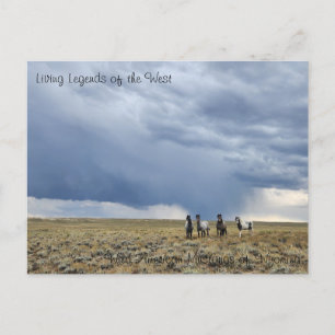 Postal Leyenda viva de Occidente - Postcard