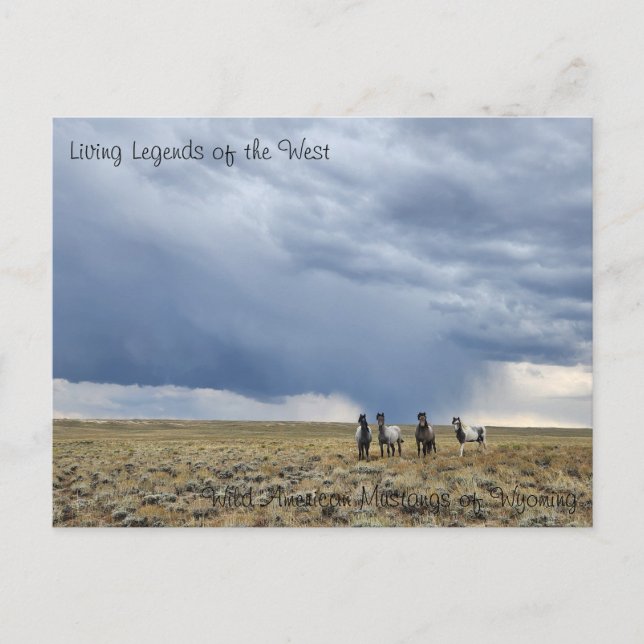 Postal Leyenda viva de Occidente - Postcard (Anverso)