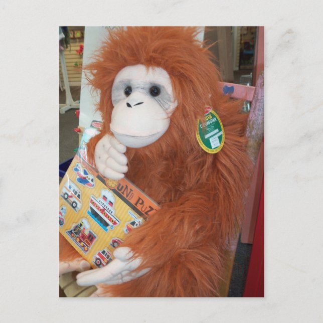 Postal Leyendo orangután (Anverso)