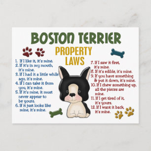 Postal Leyes 4 de la propiedad de Boston Terrier