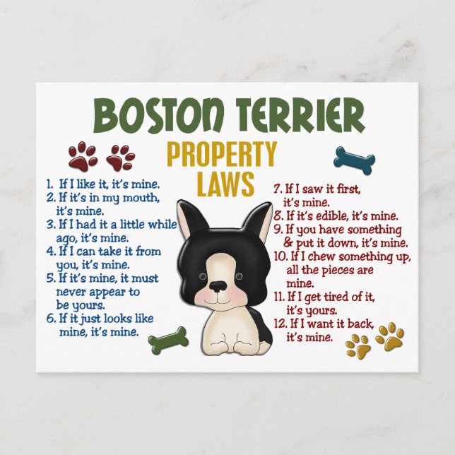 Postal Leyes 4 de la propiedad de Boston Terrier (Anverso)