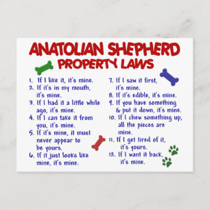 Postal Leyes ANATOLIANAS SOBRE LA Propiedad 2