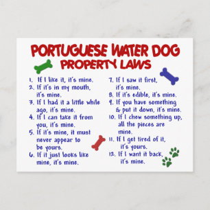 POSTAL LEYES DE INMUEBLES DE PERRO DE AGUA PORTUGUESA 2