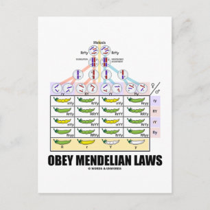 Postal Leyes de Obey Mendelian (Mares de Cruz Dihíbridos)