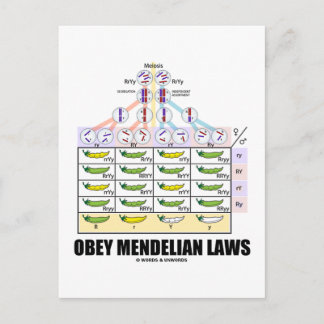 Postal Leyes de Obey Mendelian (Mares de Cruz Dihíbridos)
