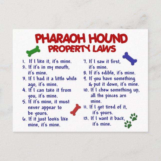 Postal leyes de propiedad 2 de PHARAOH HOUND (Anverso)