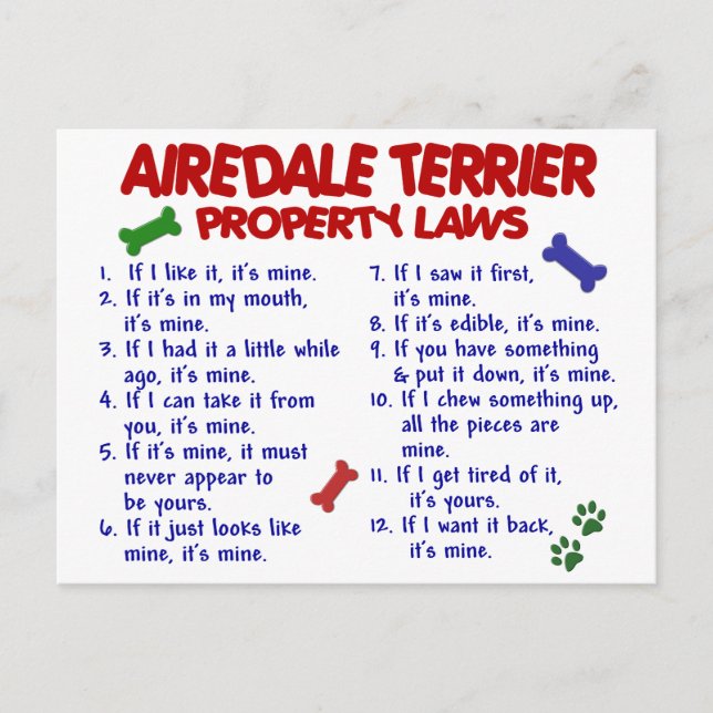 Postal Leyes de propiedad AIREDALE TERRIER 2 (Anverso)