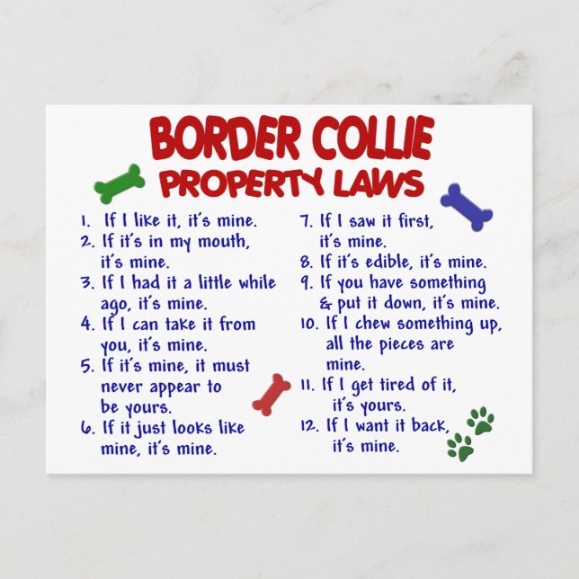Postal Leyes de propiedad COLLIE BORDER 2 (Anverso)