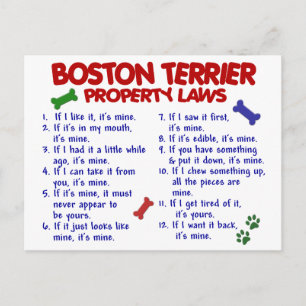 Postal Leyes de propiedad de Boston Terrier 2