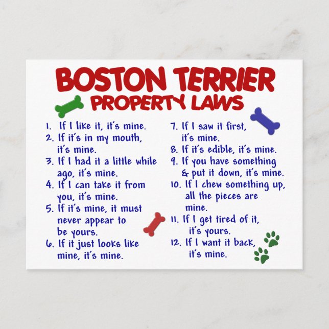 Postal Leyes de propiedad de Boston Terrier 2 (Anverso)