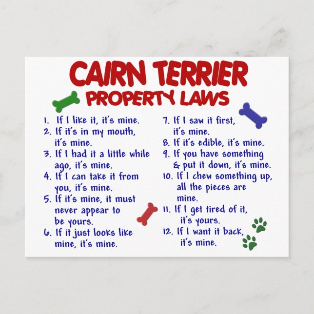 Postal Leyes de propiedad de CAIRN TERRIER 2 (Anverso)
