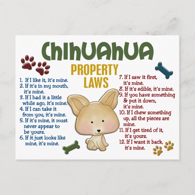 Postal Leyes de propiedad de Chihuahua 4 (Anverso)