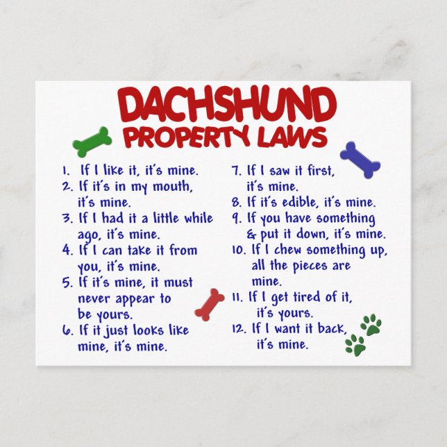 Postal Leyes de propiedad de Dachshund 2 (Anverso)