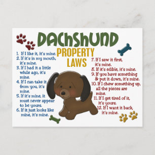 Postal Leyes de propiedad de Dachshund 4