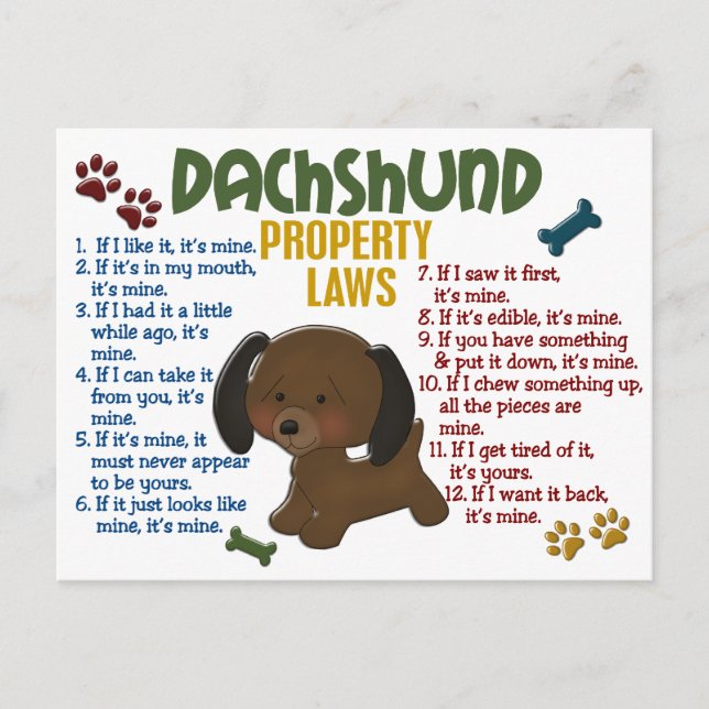 Postal Leyes de propiedad de Dachshund 4 (Anverso)