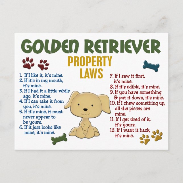 Postal Leyes de propiedad de Golden Retriever 4 (Anverso)