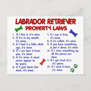 Postal Leyes de propiedad de LABRADOR RETRIEVER