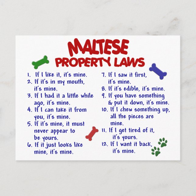 Postal Leyes de propiedad de MALTESE 2 (Anverso)