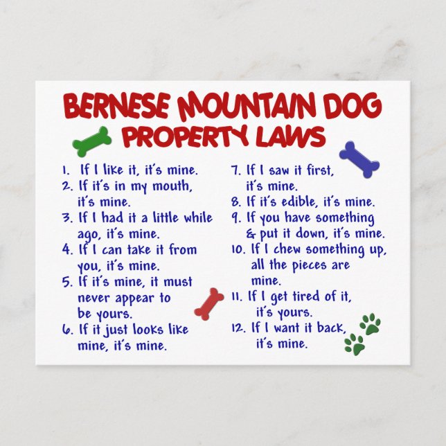 Postal Leyes de propiedad de perros de la MONTAÑA BERNÉS  (Anverso)