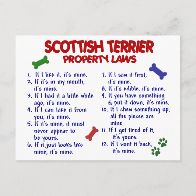 Postal Leyes de propiedad de SCOTTISH TERRIER 2 (Anverso)