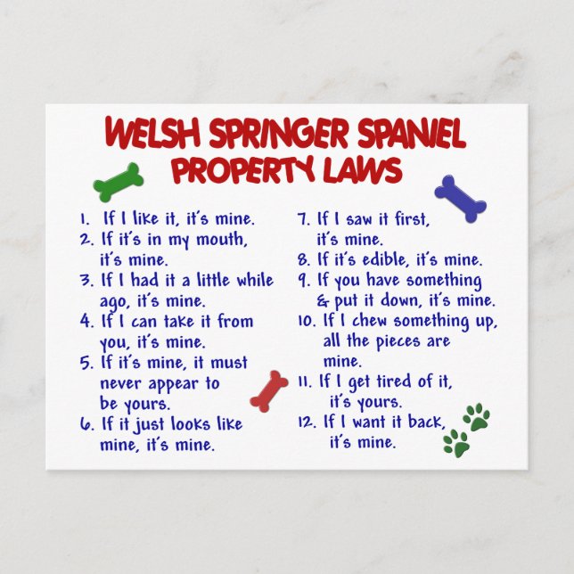Postal Leyes de propiedad de WELSH SPRINGER SPANIEL 2 (Anverso)