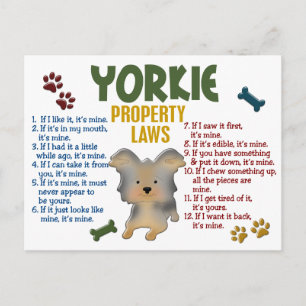 Postal Leyes de propiedad de Yorkie 4