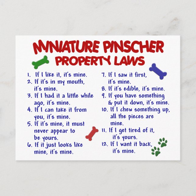 Postal Leyes de propiedad en miniatura de Pinscher 2 (Anverso)