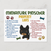 Leyes de propiedad en miniatura de Pinscher 4